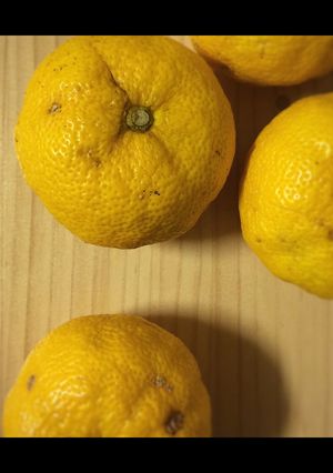 これがもっとも簡単な、ゆず皮の冷凍保存？-レシピのメイン写真