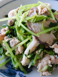 すぐできる♪ 豆苗のツナマヨサラダ-レシピのメイン写真