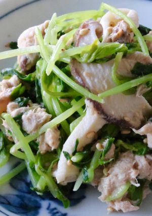 すぐできる♪ 豆苗のツナマヨサラダ-レシピのメイン写真