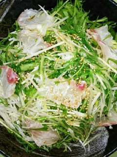 水菜と鯛のサラダ-レシピのメイン写真