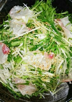水菜と鯛のサラダ-レシピのメイン写真
