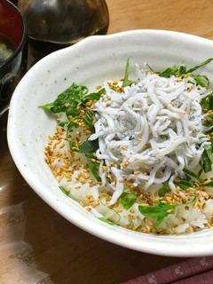 たっぷり金ごまごまDEしらす丼-レシピのメイン写真