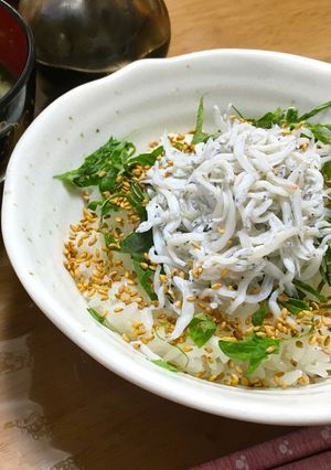 たっぷり金ごまごまDEしらす丼-レシピのメイン写真