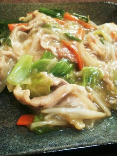 15分で完成☆ちゃんぽん丼☆おかずにも-レシピのメイン写真