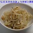 もやしとえのきのみょうがポン酢