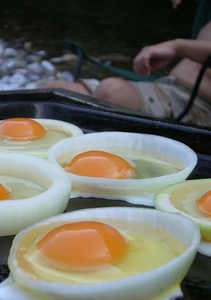 ＢＢＱでは絶対オニオン☆エッグ！！-レシピのメイン写真