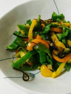 ピーマンの塩昆布炒め-レシピのメイン写真