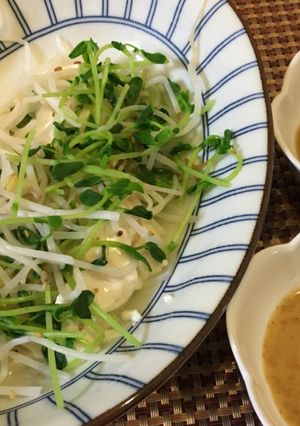我が家の『豆苗もやしヘルシー豆腐♪』-レシピのメイン写真