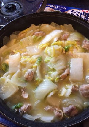白菜と鶏肉のホワイトシチュー-レシピのメイン写真