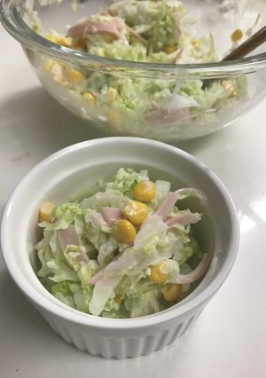 白菜たっぷりコールスロー-レシピのメイン写真