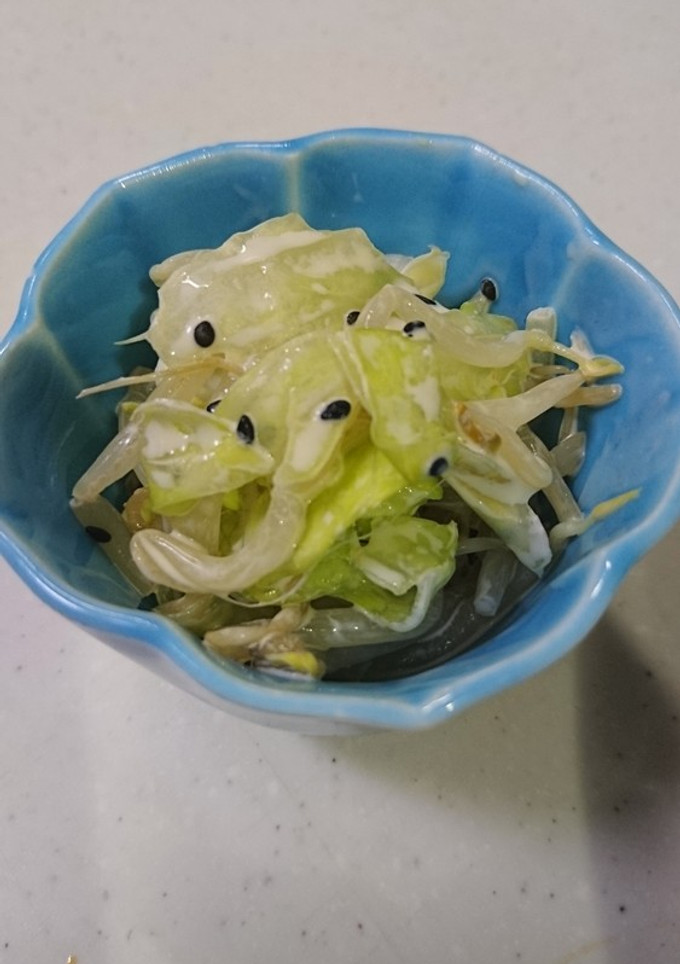 もやしとレタスの和風サラダ-レシピのメイン写真