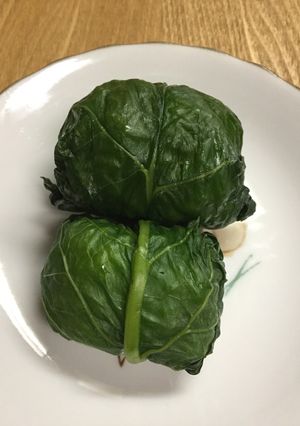 寿司飯で・野沢菜巻き-レシピのメイン写真