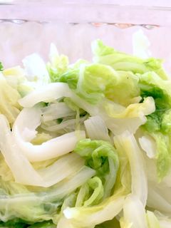 作り置き♪白菜の薄味煮-レシピのメイン写真