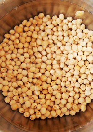 【大豆料理のきほん】乾燥大豆の戻し方-レシピのメイン写真
