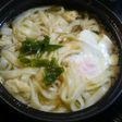 鶏だんご塩うどん