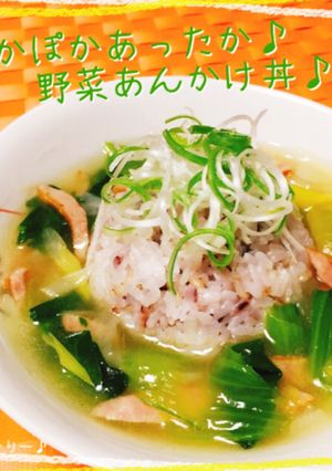ぽかぽかあったか♪野菜あんかけ丼♪-レシピのメイン写真