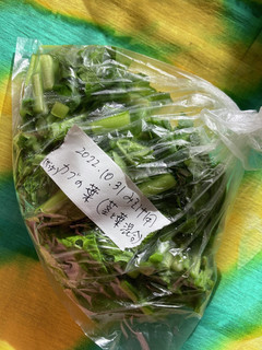 かぶの葉と茎の冷凍保存-レシピのメイン写真