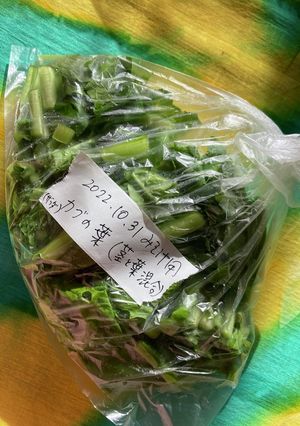 かぶの葉と茎の冷凍保存-レシピのメイン写真