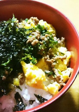 大根葉でビタミン摂取❗子供大好きそぼろ丼-レシピのメイン写真