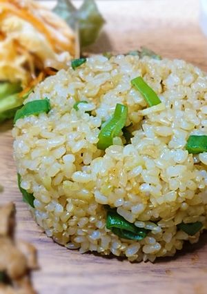 家族が絶賛★長ねぎの炒飯-レシピのメイン写真