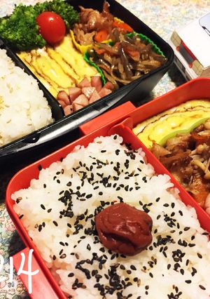 簡単*彼に食べてほしい愛情弁当♡-レシピのメイン写真