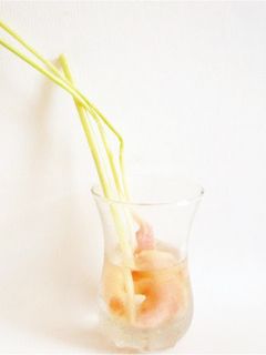 葉生姜の甘酢漬け-レシピのメイン写真