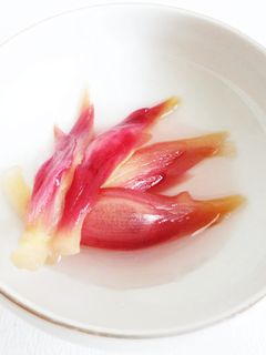 みょうがの甘酢漬け-レシピのメイン写真