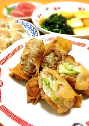 豚こまメイン簡単☆白菜・大根の野菜春巻き-レシピのメイン写真