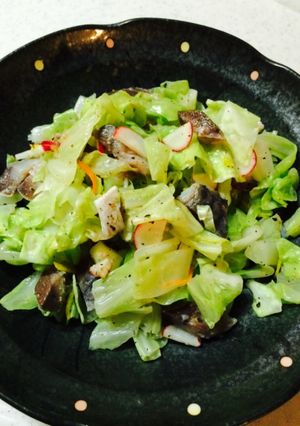 パパッとサッパリしめ鯖キャベツ-レシピのメイン写真