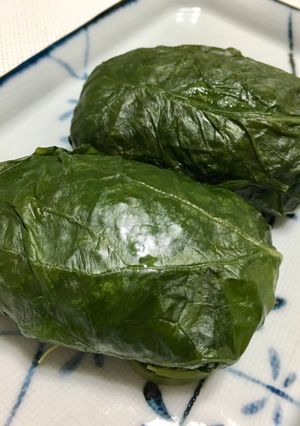 お弁当に☆野沢菜の‘めはり寿司’-レシピのメイン写真