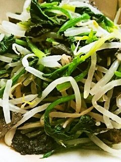 ほうれん草ともやしの磯辺和え-レシピのメイン写真