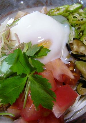 豆腐そうめん☆納豆＆夏野菜＆温玉のせ-レシピのメイン写真