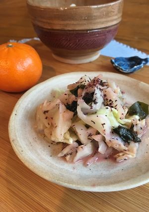 ゆかりとキャベツとワカメのピンク和え-レシピのメイン写真