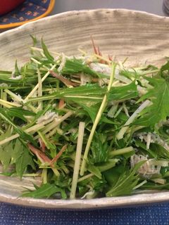水菜としらすとミョウガの簡単サラダ-レシピのメイン写真
