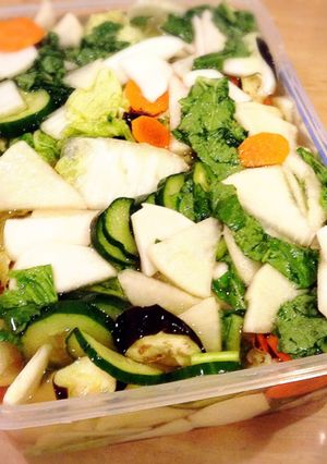 浅漬けの素を使ったたっぷり野菜の漬け物♪-レシピのメイン写真