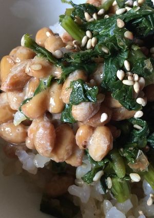 大根の葉の油炒めと納豆のご飯-レシピのメイン写真