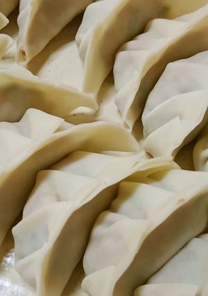絶品！キャベツと白菜の手作り餃子♪-レシピのメイン写真