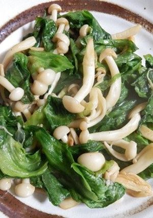 レタスとぶなしめじの炒めもの-レシピのメイン写真