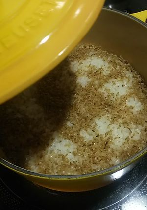 ル・クルーゼ ゴマのごはん-レシピのメイン写真