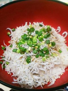 しらす丼-レシピのメイン写真