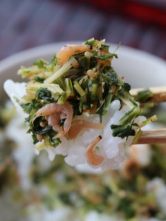 水菜とアミエビのしっとりふりかけ ♪-レシピのメイン写真