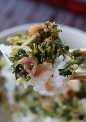水菜とアミエビのしっとりふりかけ ♪-レシピのメイン写真