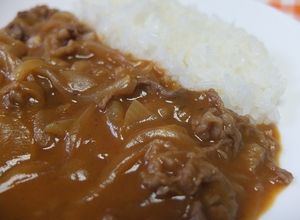 ブラウンソースからきちんとハヤシライス-レシピのメイン写真