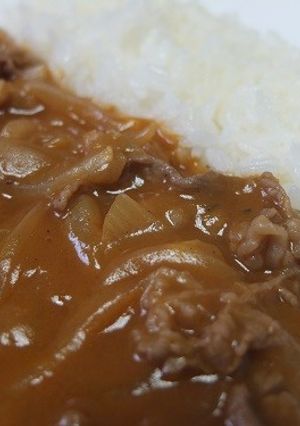 ブラウンソースからきちんとハヤシライス-レシピのメイン写真