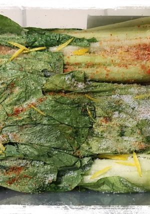 【秩父名産】しゃくし菜のお漬け物-レシピのメイン写真