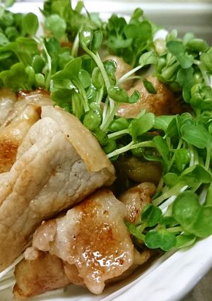 お父さんのカイワレ豚巻き-レシピのメイン写真