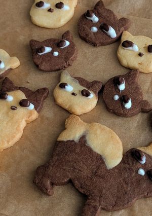 さくさく 型抜きクッキー（シュクレ）-レシピのメイン写真