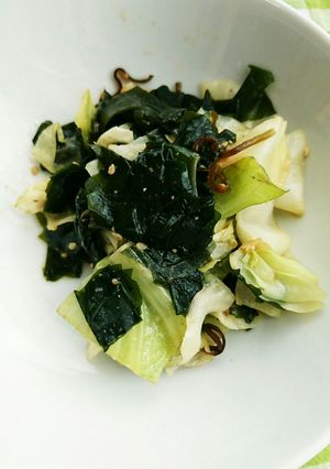 キャベツとわかめの塩昆布炒め-レシピのメイン写真
