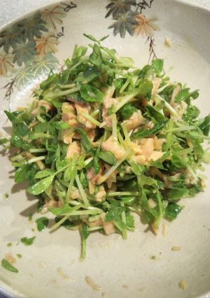 手間要らず！豆苗とツナのササッとサラダ-レシピのメイン写真