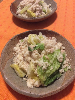 おからと白菜のツナサラダ-レシピのメイン写真